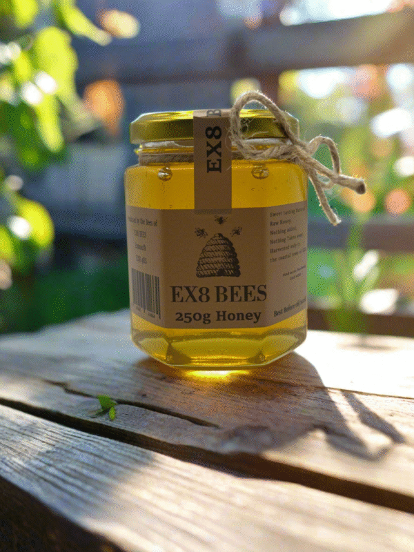 EX8 Honey 250g - Image 2
